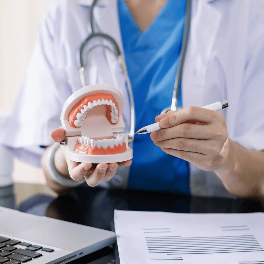 A clinician explaining treatment using a model of the teeth and gums