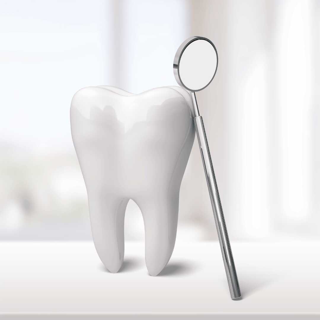 A model tooth standing beside a dental mirror